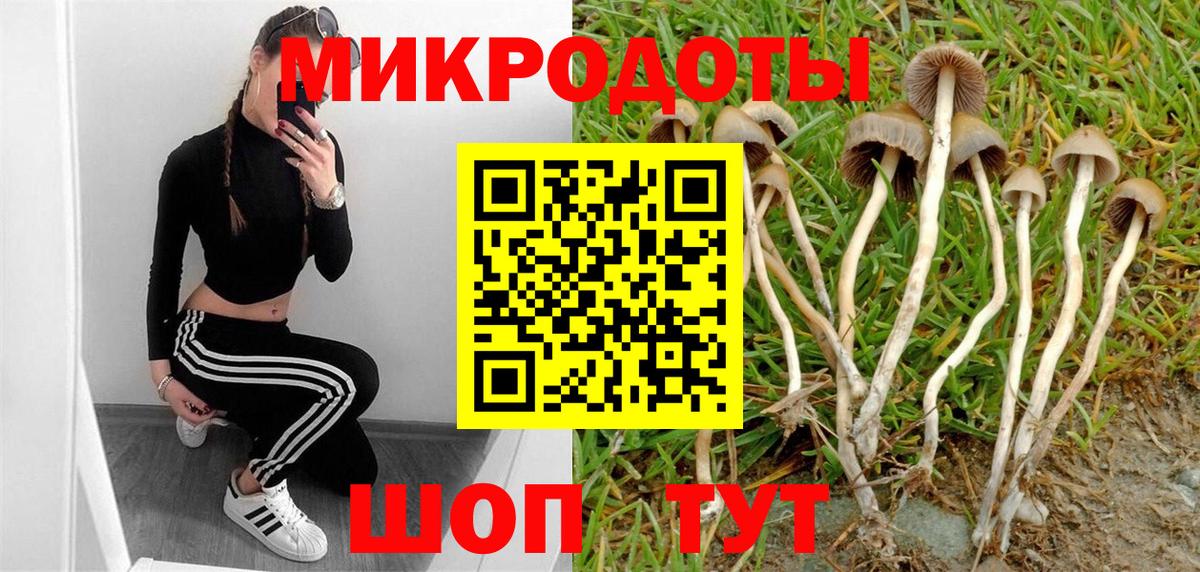 Галлюциногенные грибы GOLDEN TEACHER  Вход с VPN  Саянск 