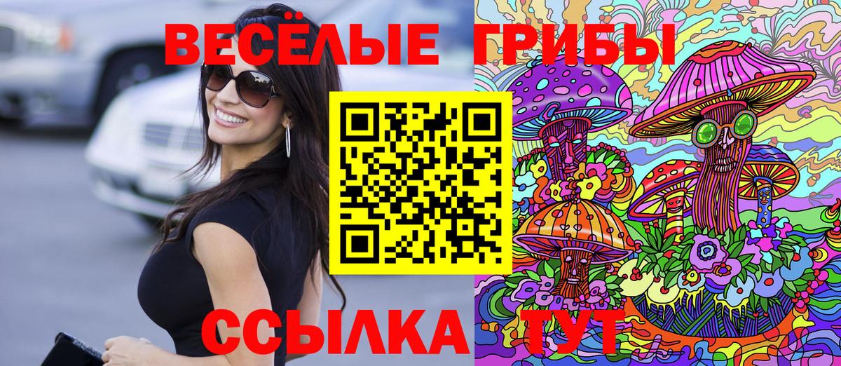 Псилоцибиновые грибы Cubensis Саянск